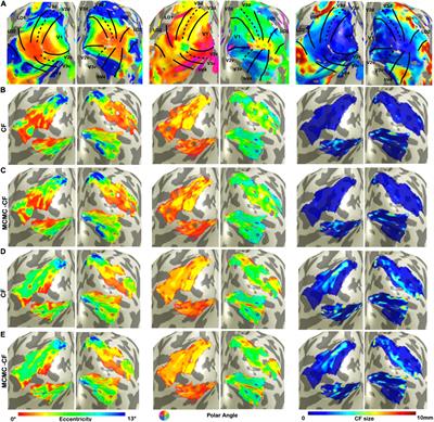 Assessing Uncertainty and Reliability of Connective Field Estimations From Resting State fMRI Activity at 3T